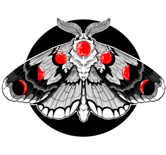a moth with the moonphases spreaded on its wings.