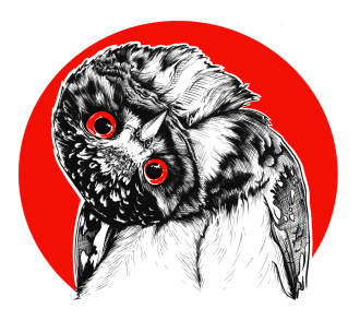 An owl with a twisted head and red eyes.